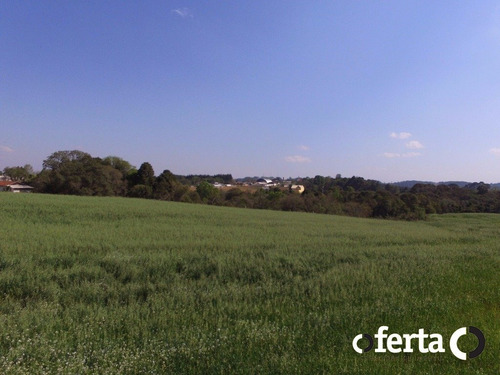 Imagem 10 de 14 de Terreno - Serrinha - Ref: 147 - V-147