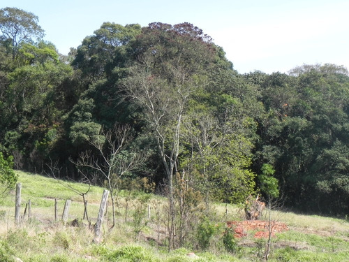 (sc) Lotes 500m² , Entrada 5mil+parcelas Fixas Sem Consulta