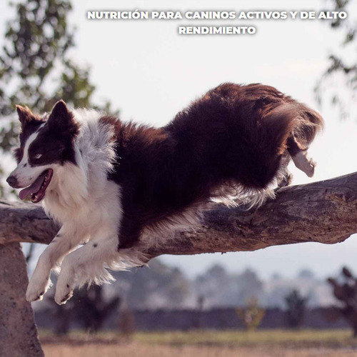 Imagen 4 de 4 de Croquetas Alimento Para Perro High Performance 8kg Nupec