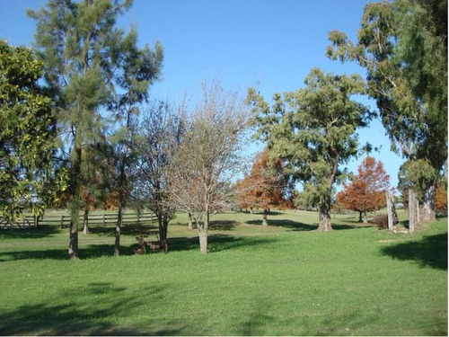 Imagen 11 de 14 de Venta Casa De Campo Encolonia