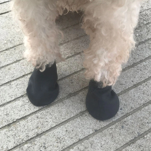 Zapato Para Perro