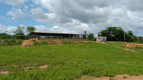 Imagen 14 de 14 de 12997 Katherine Castillo 0412-8567234 Venta Finca Ojo De Agua Via Acarigua