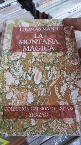 La Montaña Magica Thomas Mann 