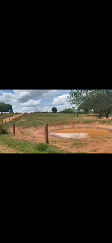 Imagem 2 de 14 de Fazenda Dupla Aptidão Município Brasilândia