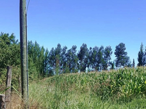 Terreno En Venta En Yerbas Buenas - Excelente