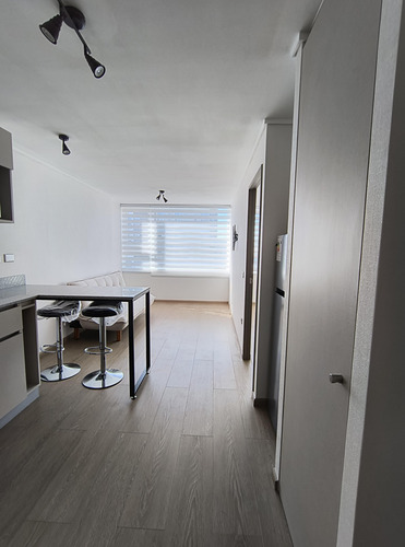 Arriendo Departamento 1d-1b-1b, Edificio Maipú, Centro De C