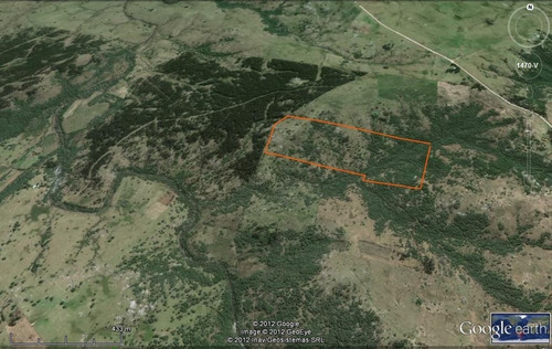 Campo En Venta En Lavalleja. 21 Hectáreas.