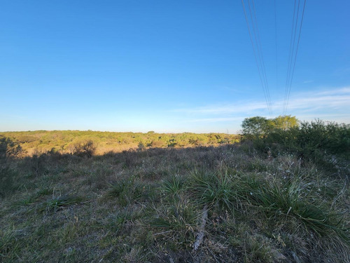 Imagen 3 de 3 de Campo - Parana