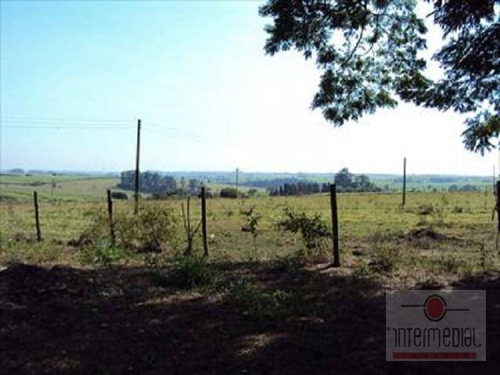 Sítio Rural À Venda, Anísio De Moares, Boituva. - Si0049