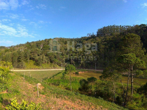 Imagem 13 de 30 de Chácara À Venda No Bairro Gaspar Grande - Gaspar/sc - 1539c