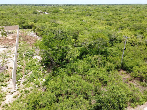 Imagen 2 de 13 de Terreno - Conkal Para Proyecto Comercial