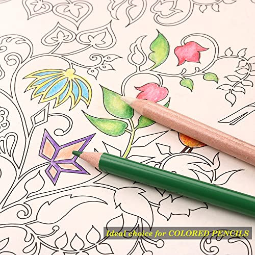 Set De Lápices Mezcladores Y Difuminadores Sin Pigment...