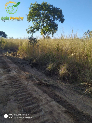 Imagem 4 de 4 de Fazenda À Venda Em São Valério - To - De 105 Alqueirões (pecuária) - 1760