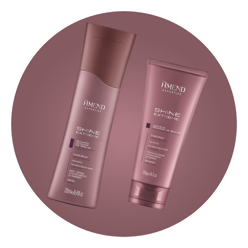 Amend Kit Shampoo E Leave-in Shine Extreme Doador De Brilho