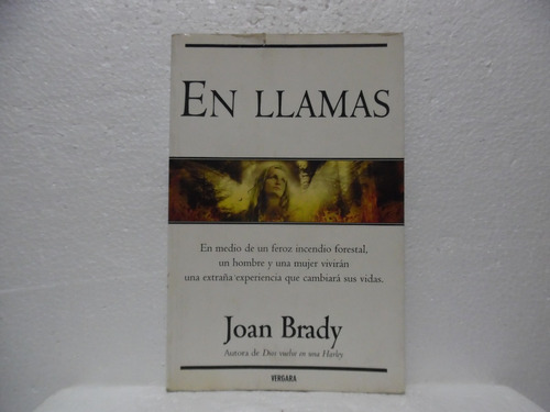 En Llamas / Joan Brady / Vergara 