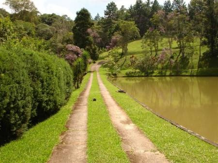 Lindo Sitio Rico Em Agua Em Juquitiba-sp