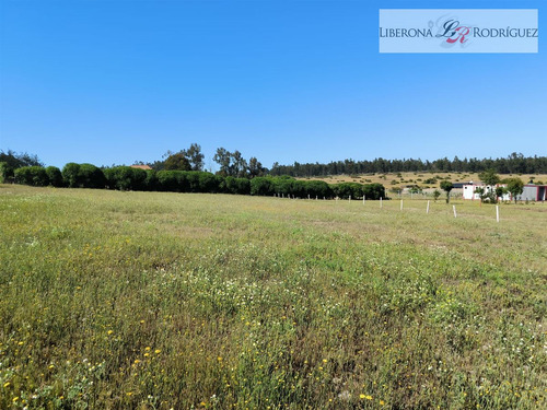 Parcela En Venta En Quintero