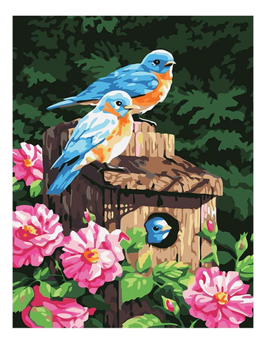 Pintura Diamante - Casa Para Pajaros