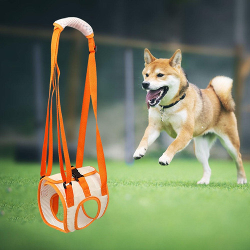 2024 Perros Atrás Patas Traseras Arnés De Soporte For