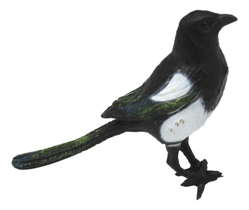 5 Urraca Simulación Pájaro Modelo Pájaro Emplumado,