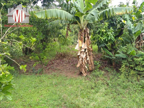 Imagem 27 de 30 de Excelente Chácara Com Escritura, Pomar, 04 Dormitórios E Linda Vista À Venda, 1000 M² Por R$ 280.000 - Rural - Socorro/sp - Ch0643