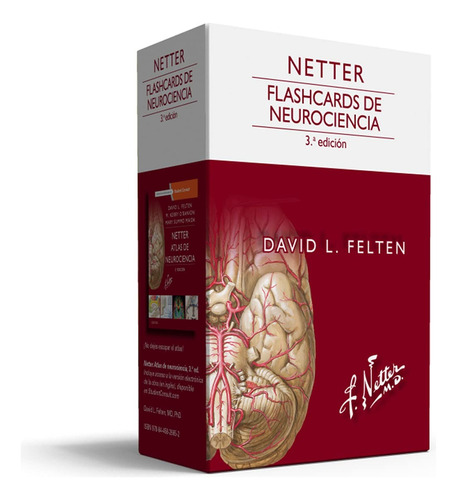 Netter Flashcards Neurociencia 3.a Edición Usadas