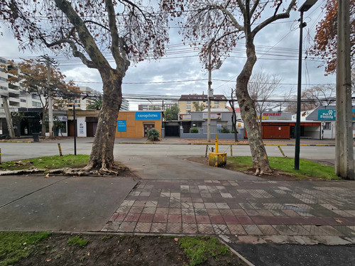 Local Comercial C / Capacidad 6 Estac. (177301)