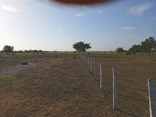 Imagen 4 de 11 de Venta De Espectacular Hato En Calabozo Estado Guárico