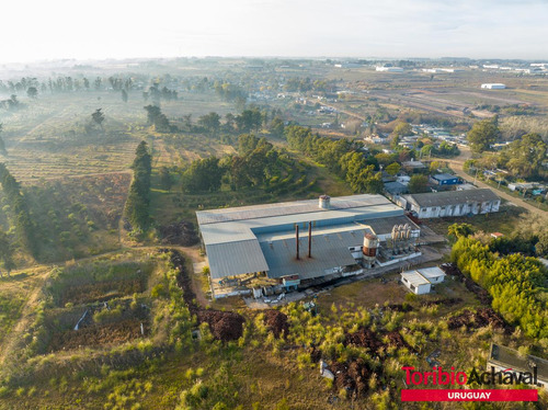 Venta Magnífico Terreno Para Urbanización En Zona De Barrios