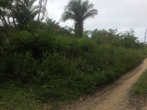 Chácara Em Itanhaém - 6035 - 68470348