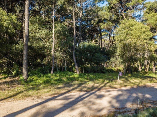 Imagen 3 de 10 de Lote En Venta - Pinamar Norte