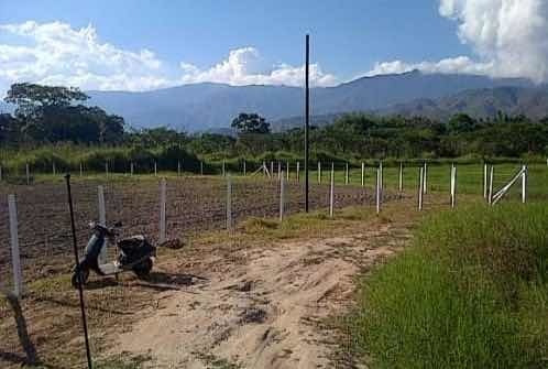 Imagen 19 de 20 de Pieranyela Rodríguez. Finca En Tinaquillo C 1747