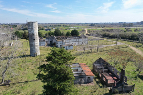 Planta Frigorifica Ex Proinco