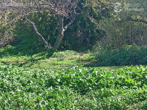 Parcela En Venta En San Felipe