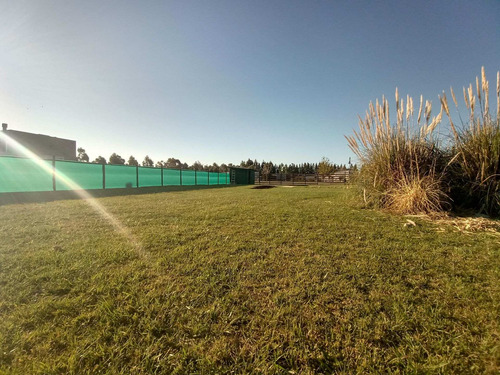 Imagen 12 de 21 de Casa De 4 Dormitorios En Venta En Haras Del Sur 2