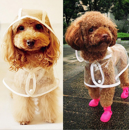 Capa De Lluvia Para Perro Impermeable Transparente Talla Xs