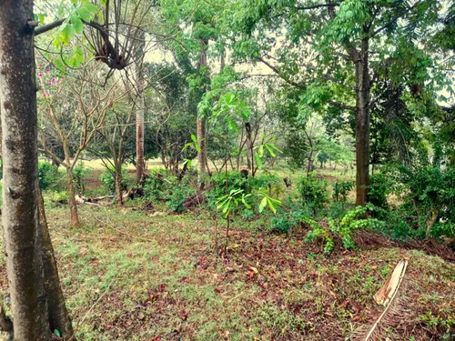 Lote Con Amplias Posibilidades De Desarrollo Cod 18401