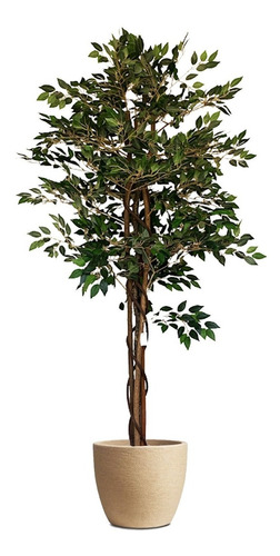 Ficus Árbol Planta Artificial   Grande Exterior 2 Mts