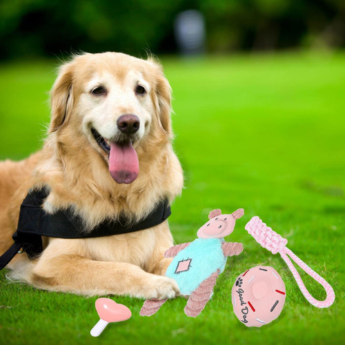 Dog Squeaky Toys Juguete Masticable Con Squeaker Para Perros 
