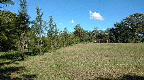 Imagen 8 de 21 de Excelente Casa Quinta 1 Has. 1100 Mts De Rp Nº 29. General Paz. Ranchos. Bs.as