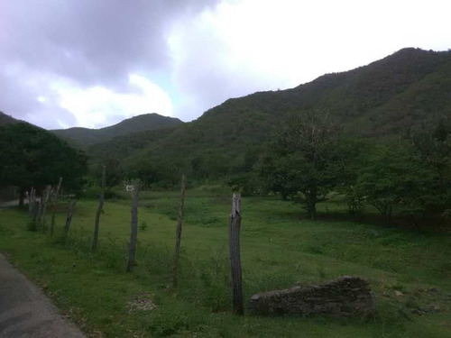Terreno De Gran Extension En El Guayabal, La Asuncion
