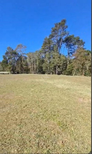 Sitio En Venta En Puerto Varas En Riberas Del Maullin