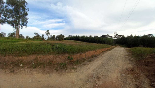Imagem 8 de 12 de Chácara Em Eucaliptos, Fazenda Rio Grande/pr De 20000m² 1 Quartos À Venda Por R$ 180.000,00 - Ch1510288-s