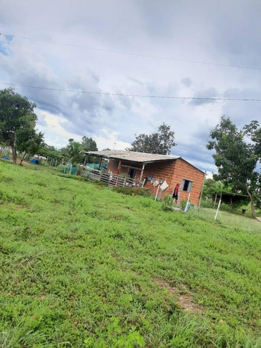 Imagem 12 de 14 de Sítio 25 Hectares - 0034