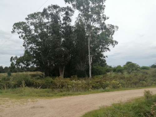 Imagen 4 de 12 de Chacra A La Venta - A 2 Km De San Antonio - 5 Hás