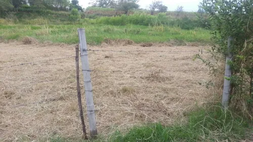 Lote Vía Tablones Palmira Valle