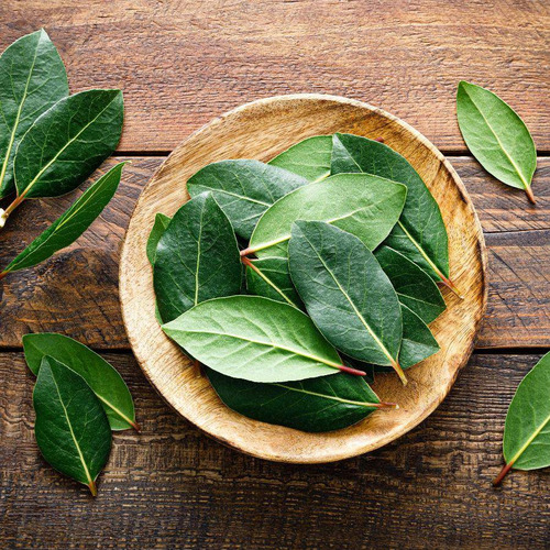 Hojas De Laurel - Especia Aromática En Bolsa