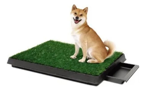 Baño Alfombra Bandeja Perro Mascota