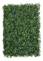 Comprar Starway Home Deco Jardineria Vertical Artificial Panel Cesped Starway,estructura Decoracion,folalaje Artificial ,follaje,follaje,muro Verde Interior ,forraje Artificial ,follaje Artificial 1