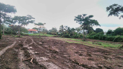 Venta Terreno 5,000 A 30,000 M² Frente Al Río Juana Moza Tuxpan Veracruz